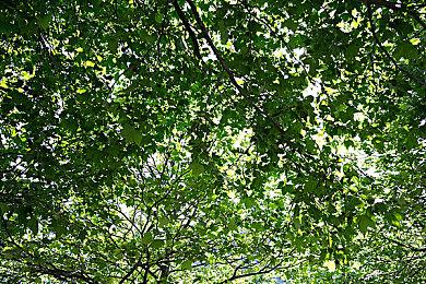 《使命召唤19》金库版预购没奖励？动视：你们没注意读说明